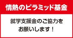 情熱のピラミッド基金